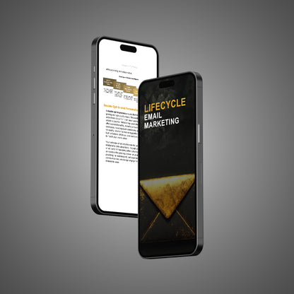 Lifecycle Email Marketing - Pack
